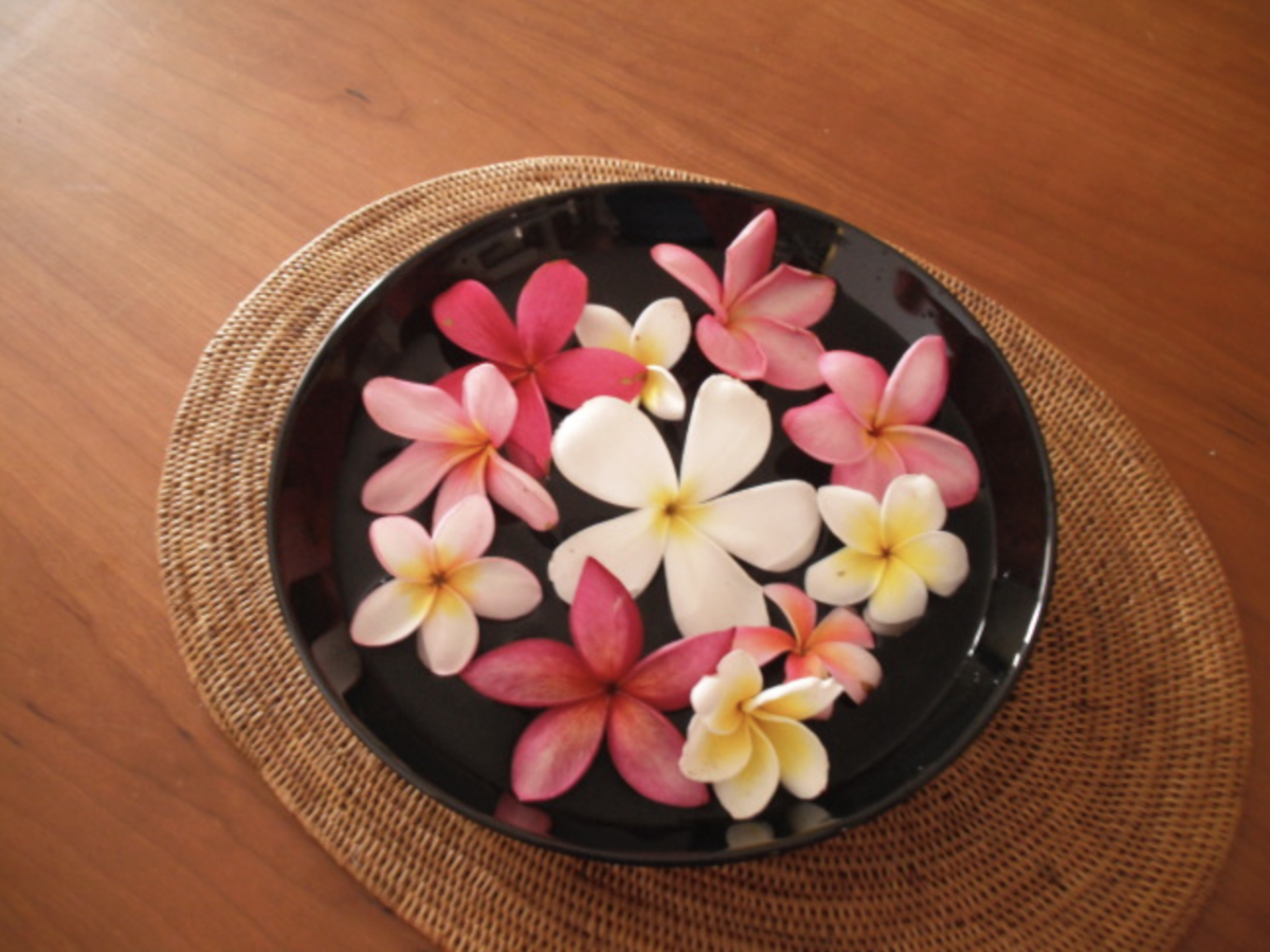 Scentially - Frangipani and Ylang Ylang